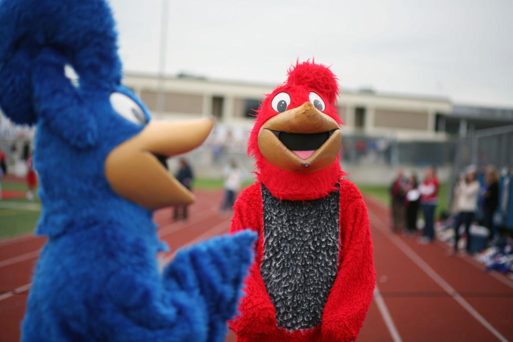 The Chaparral Mascots, Queso and Pico, stand before the school during the Homecoming Pep Rallys preparations.