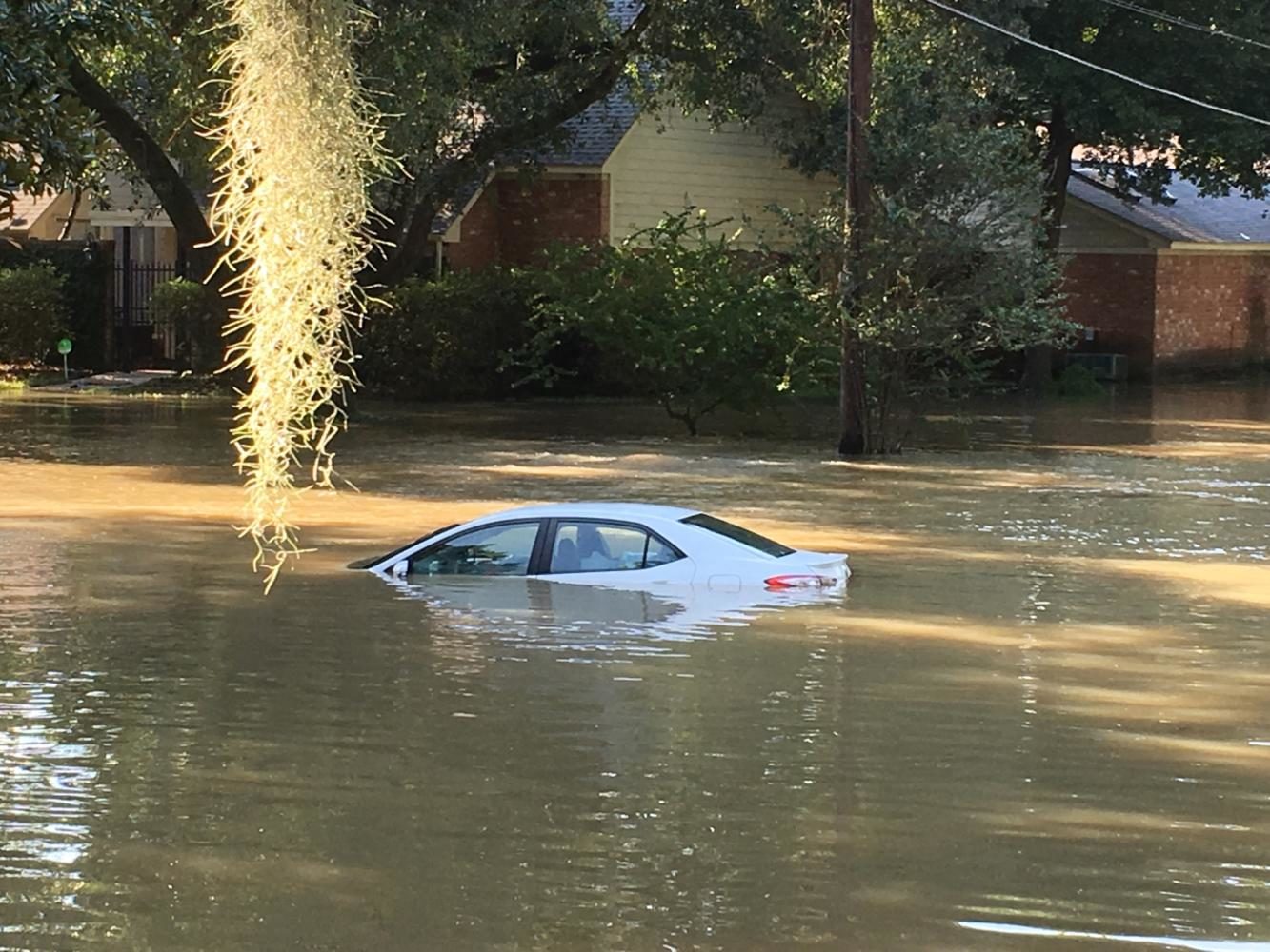 These photos of the flood devastation were taken in Houston by family and friends of yearbook adviser Alison Strelitz.

Her parents were able to stay in their home, but many friends had to evacuate.