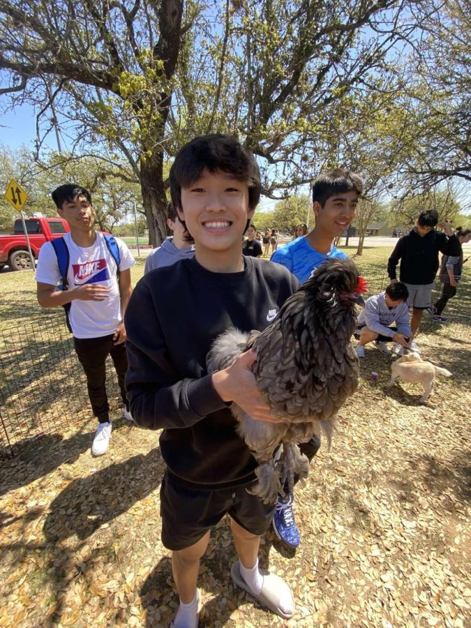 Freshman Aidan Zhao holds one of the many chickens April 7 during the school’s one-day petting zoo by the bus lane.