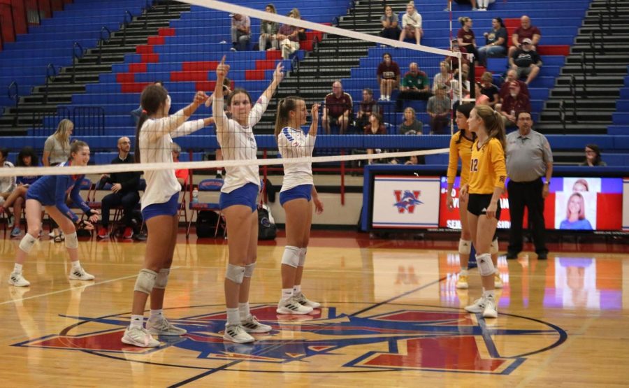 JV volleyball keeps undefeated title against Dripping Springs