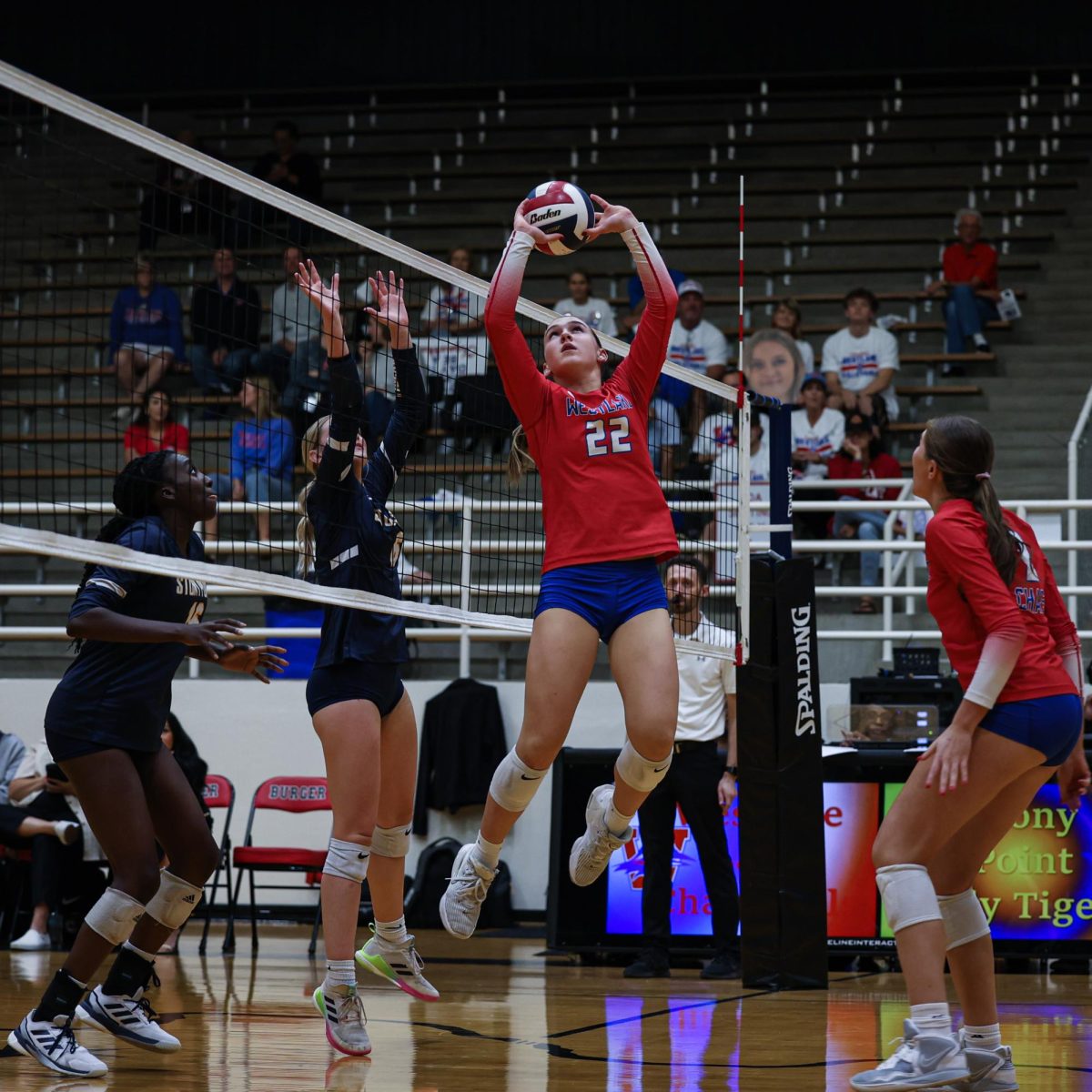 Freshman Clayton Kelly sets the ball to senior Caitlin Hefner Nov. 5 against Stony Point in the Bi-District Championship. Chaps won 3-0.