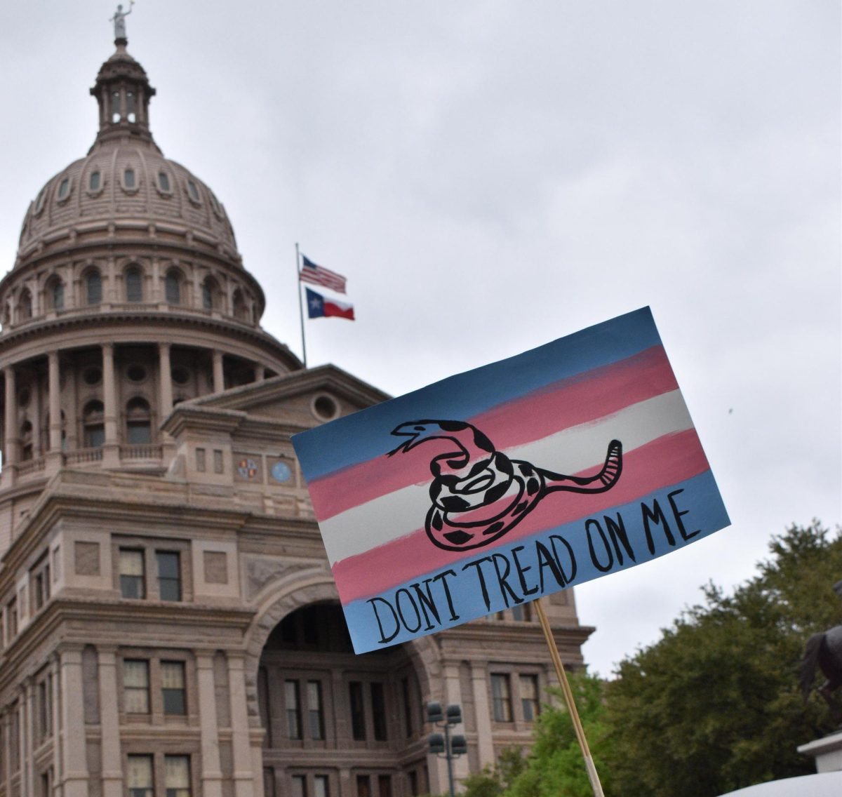 Austinites gathered infront of the capital April 5 to protest government influence.